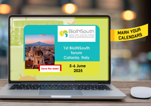 BioINSouth 2025