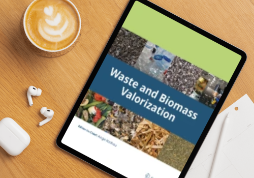 Biotechnological Strategies and Perspectives for Food Waste Treatment