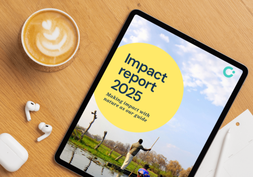 Impact Report 2025